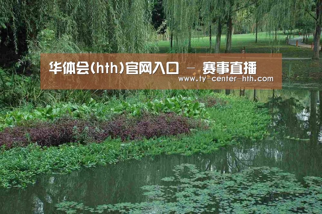 案例展示一(图1)