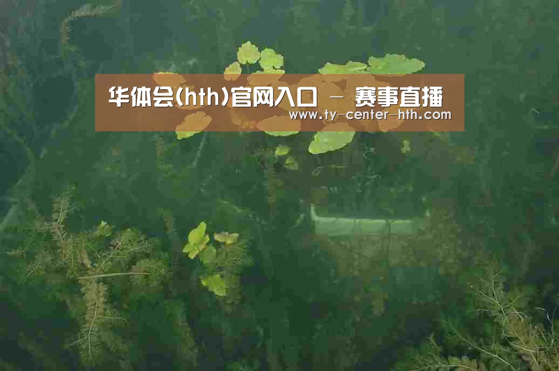 案例展示三(图1)