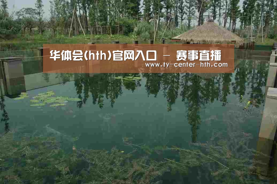 案例展示二(图1)