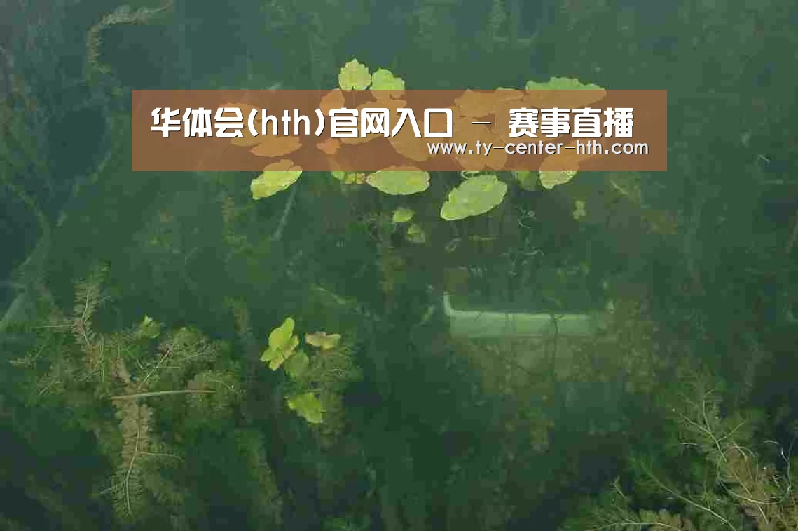 案例展示三