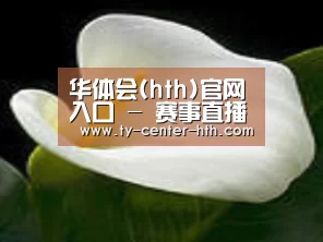 产品名称七