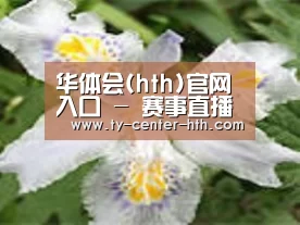 产品名称二