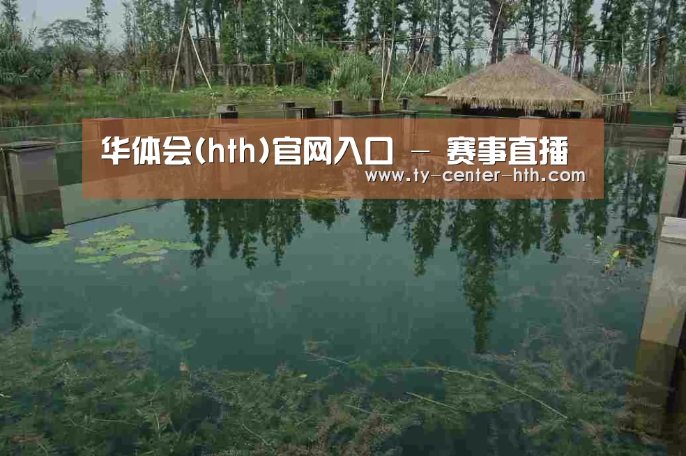 案例展示二
