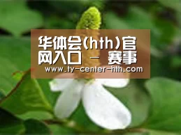 产品名称三
