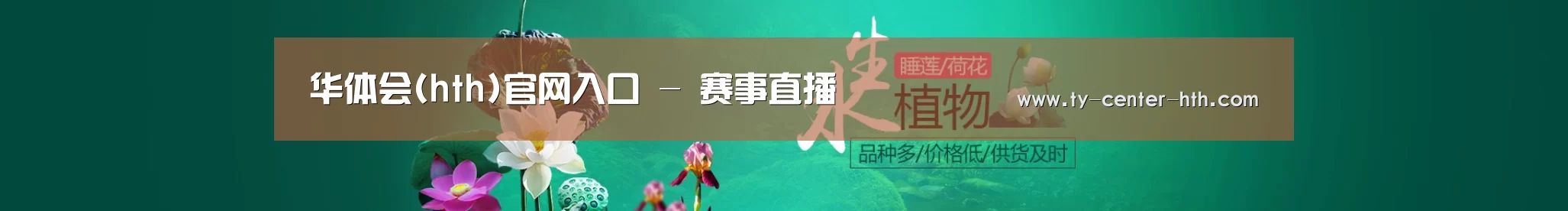 鲜花水草花卉网站模板
