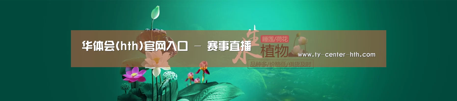 鲜花水草花卉网站模板
