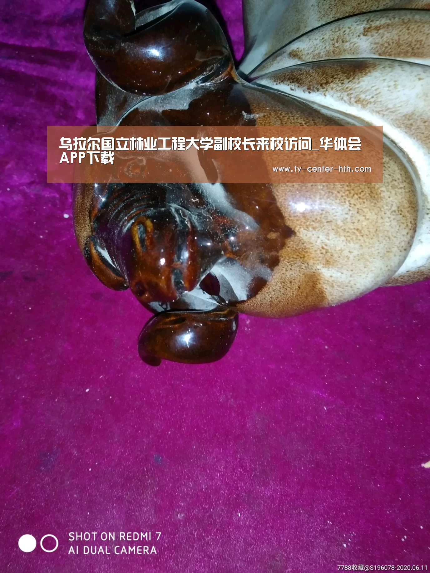 华体会入口