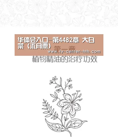 华体会APP下载