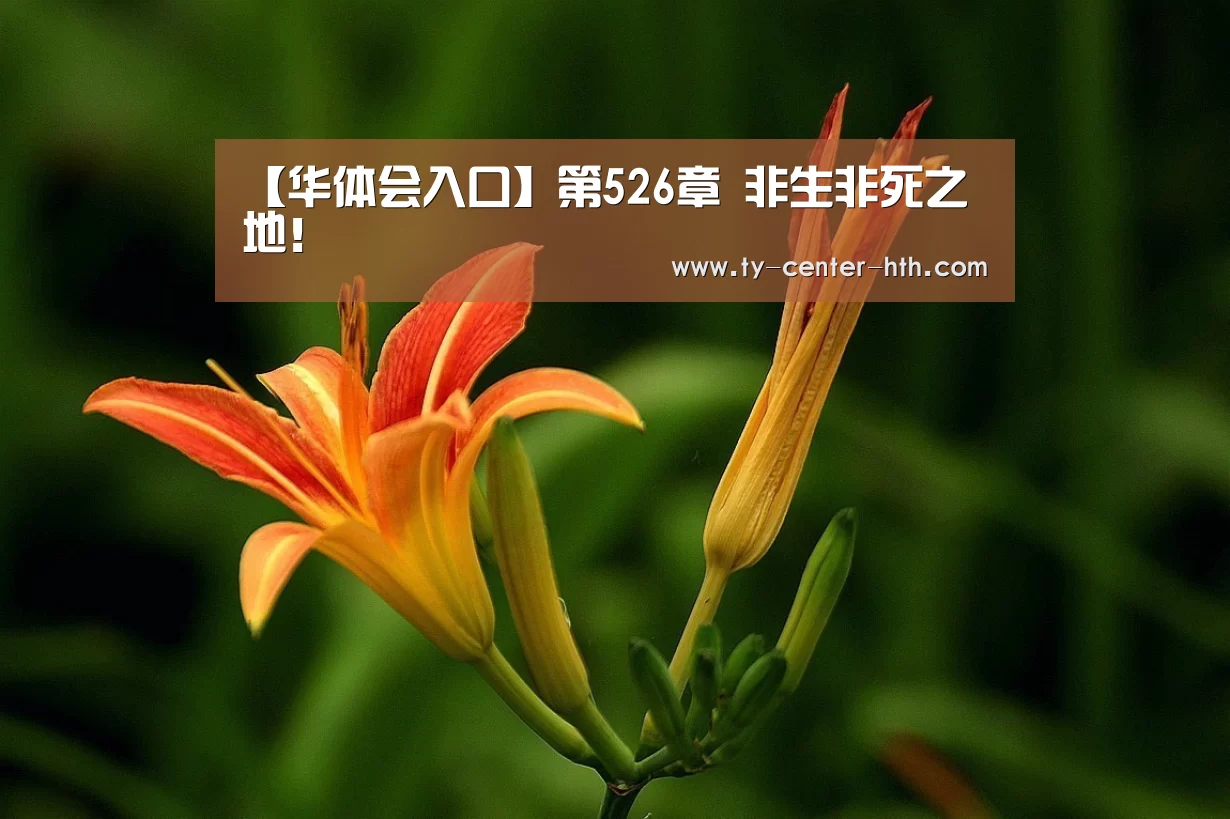 华体会APP下载
