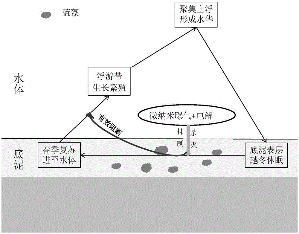 重磅消息|教育部批准东林设立奥林学院_华体会入口(图1) 华体会入口