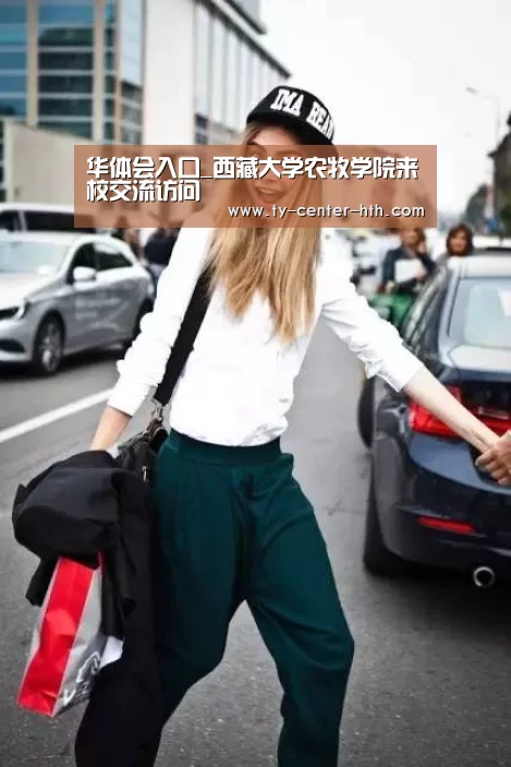 华体会体育官网入口