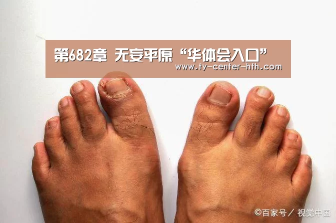 第682章 无妄平原“华体会入口”(图1) 华体会登陆