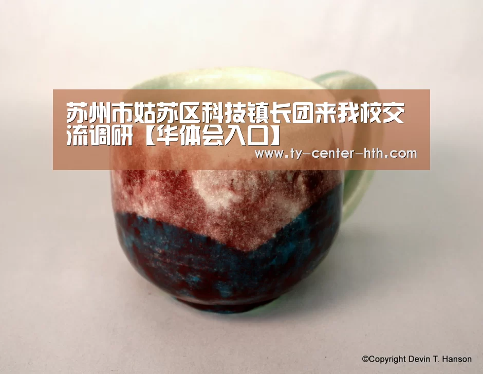 苏州市姑苏区科技镇长团来我校交流调研【华体会入口】(图3) 华体会登陆