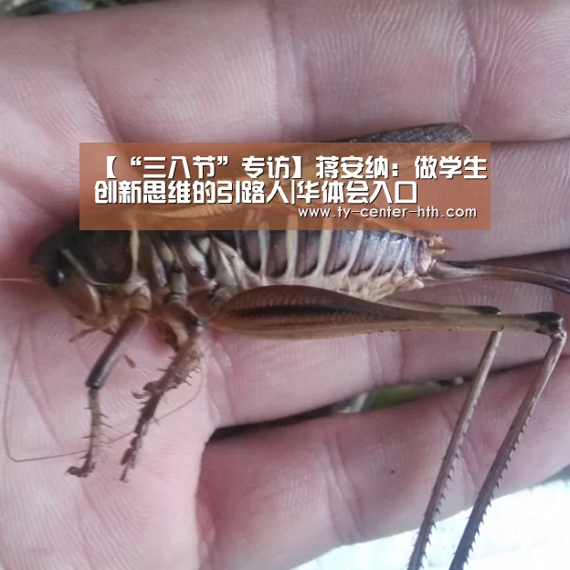 【“三八节”专访】蒋安纳:做学生创新思维的引路人|华体会入口(图2) 华体会登陆