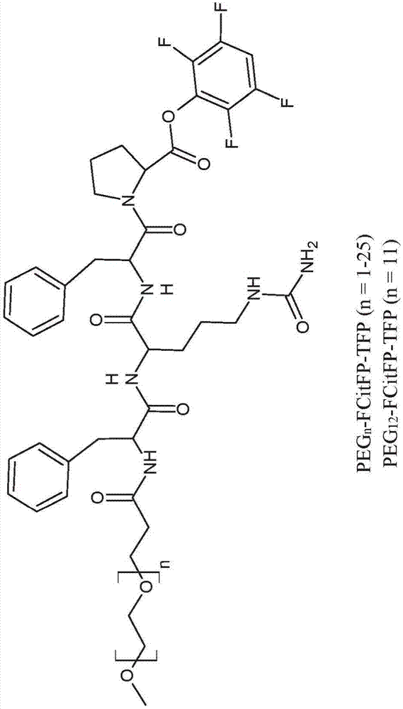 华体会APP下载_原创AC米兰考虑用斯帕莱蒂替换詹保罗,但他们需要得到国际米兰的批准(图4) 华体会APP下载