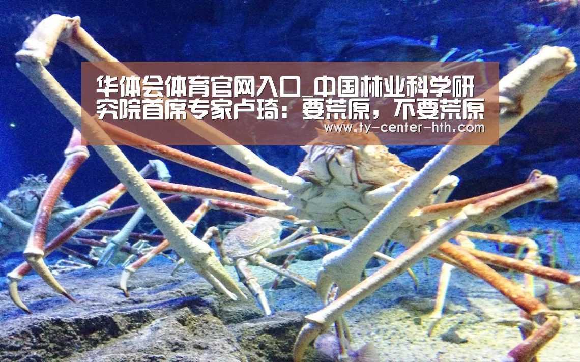 华体会体育官网入口_中国林业科学研究院首席专家卢琦:要荒原,不要荒原化(图1) 华体会APP下载