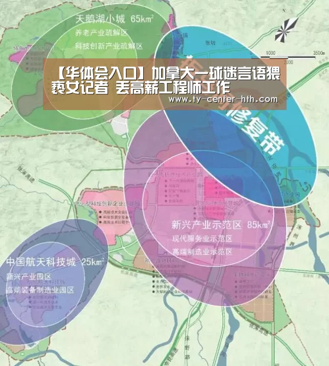 【华体会入口】加拿大一球迷言语猥亵女记者 丢高薪工程师工作(图1) 华体会APP下载