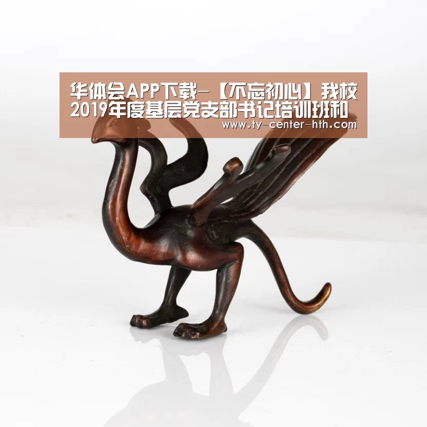 华体会APP下载-【不忘初心】我校2019年度基层党支部书记培训班和党校第四十期预备党员培训班圆满结束(图1) 华体会入口