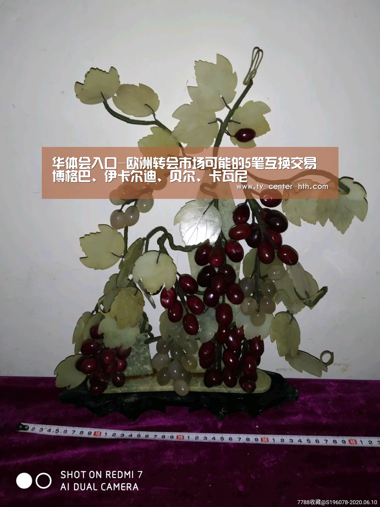 华体会体育官网入口