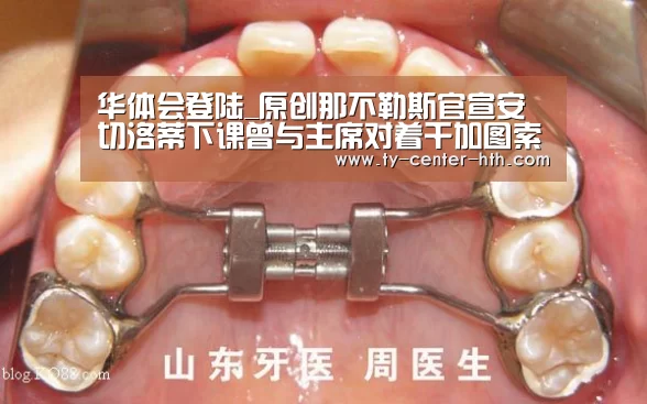 华体会入口